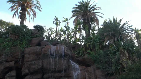 Waterfall and palm trees Video stock 35035214