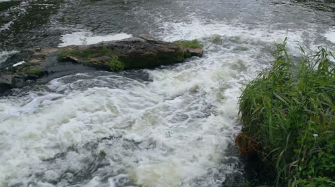 Waterfall and reed Stock Footage 55802616