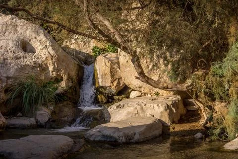 The waterfall and the refreshing spring in Ein Gedi oasis, Israel. Stock Photos