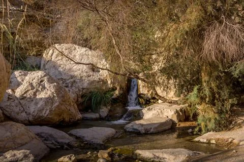 The waterfall and the refreshing spring in Ein Gedi oasis, Israel. Stock Photos