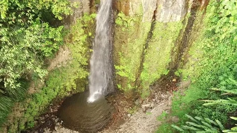 Waterfall and river in the caribbean Vídeo Stock 88583346