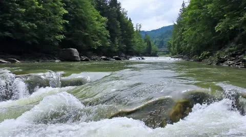 Waterfall And River In Carpathians Vídeo Stock 11882096