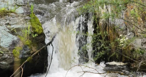 Waterfall and river. Forest rocks with a roaring stream running. Waterfall Stock Footage 205600119