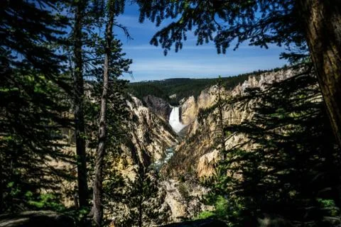 Waterfall and River through the Trees in Yellowstone National Park Stock Photos