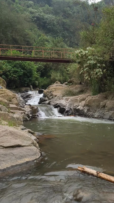 Waterfall and River Under Bridge in Tropical Forest Video stock 334486216