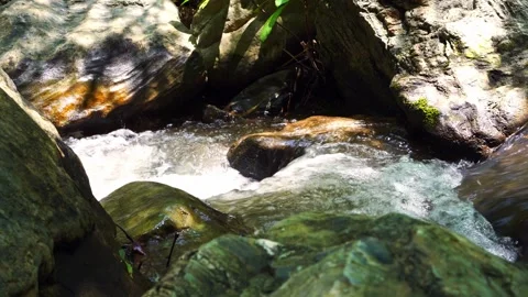Waterfall and rock with forest on mountain background Stock Footage 269504529