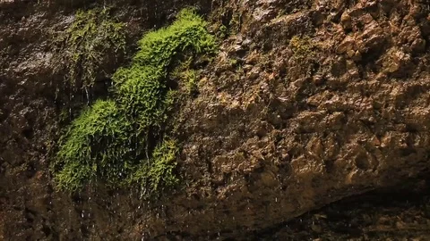 Waterfall and rocks Stock Footage 79127785