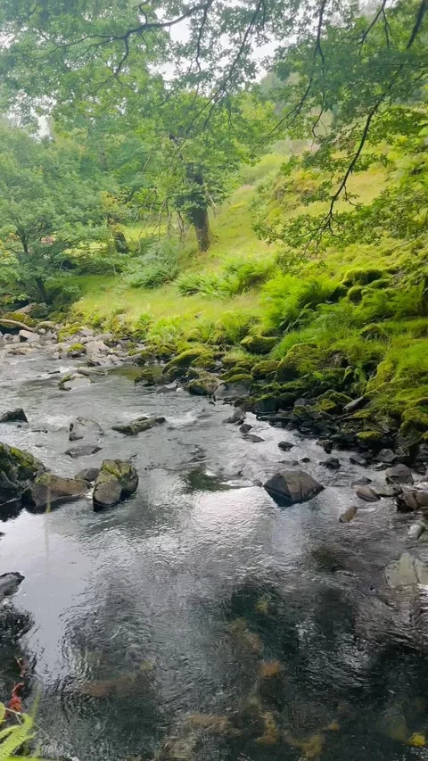 Waterfall And Rocks Vídeo Stock 281744337