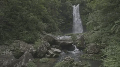 Waterfall and Rocky Stream in Forest Vídeos de archivo 343570023