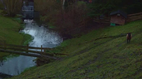 Waterfall and a sheep Stock-Footage 44446426