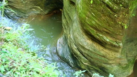 Waterfall and stream flowing through rock layers and cliff in forest Stock Footage 221737764
