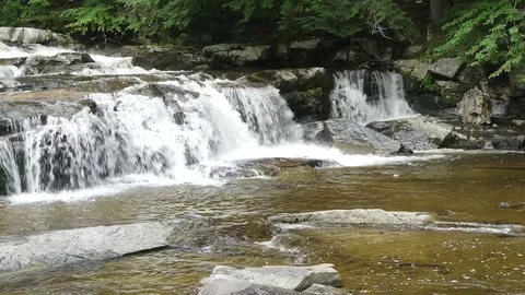 Waterfall and Stream Video stock 79505070