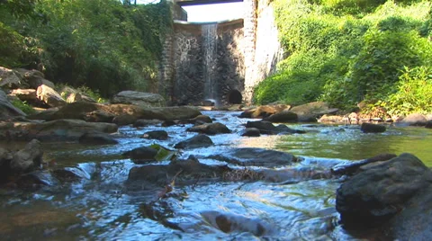 Waterfall and Stream Loop Video stock 38765100