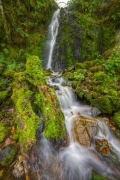 Waterfall and stream next to the trunk of a fallen tree Stock Photos