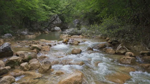 Waterfall and stream over rocks in green forest. Creek flows among rocks Stock Footage 151466351