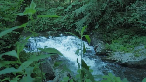 Waterfall and Stream Tracking Cinematic in a Green Forest Video stock 108414073