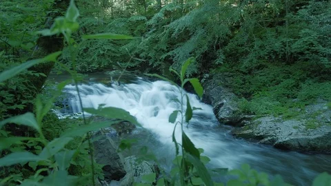 Waterfall and Stream Tracking Time Lapse Cinematic in Green Forest Stock Footage 108404012