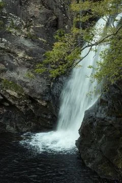 A waterfall and tree branches Stock Photos