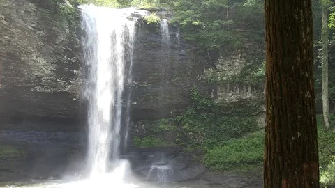 Waterfall and Tree Stock Footage 91946845