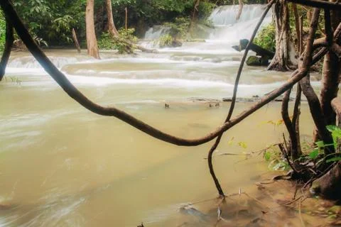Waterfall and tree. Stock Photos