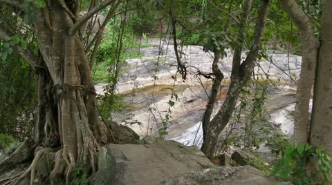 Waterfall and Trees Video stock 11229578