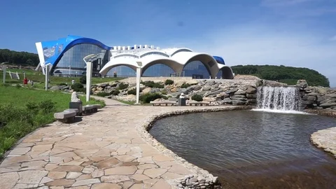 The waterfall at the aquarium Vídeo Stock 77891890