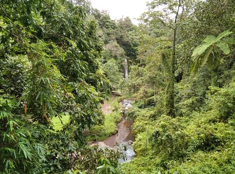 Waterfall area.  Stock Photos