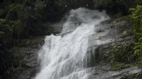 Waterfall in Atlantic Forest Stock Footage 52557103