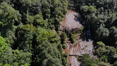 Waterfall in Atlantic Forest Stock Footage 131584063
