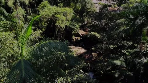 Waterfall in Atlantic Forest Stock Footage 131584281