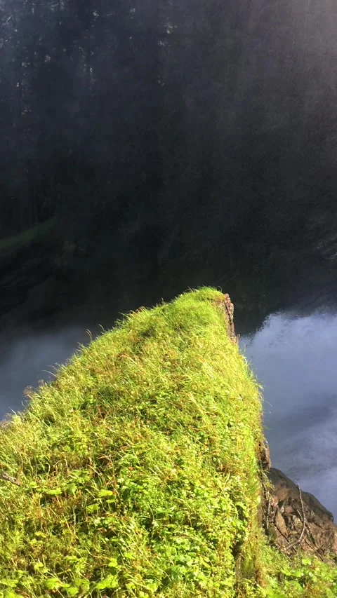 Waterfall in Austria Stock Footage 161788010