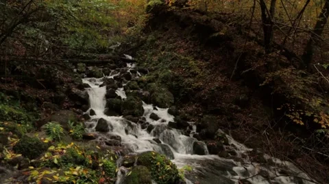 WATERFALL AUTUMN Stock Footage 43259029