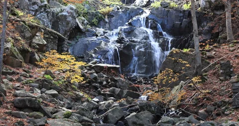 Waterfall in autumn Stock Footage 164335147