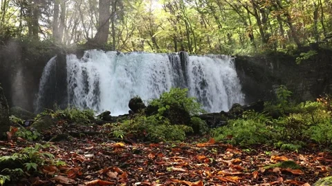 Waterfall in autumn Video stock 169751318