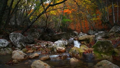 Waterfall in the autumn forest. Stock Footage 180548147