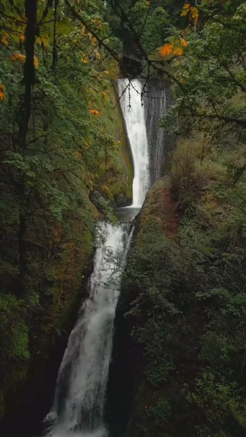 Waterfall in autumn in forest Stock Footage 274283588