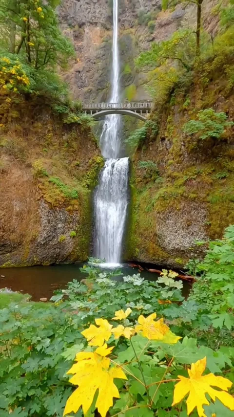 Waterfall in autumn in forest Stock Footage 274867493