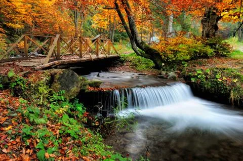 Waterfall in the autumn forest 写真素材