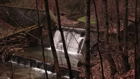 Waterfall in an autumn forest, used in educational resources on ecology, nature, Stock Footage 280186501