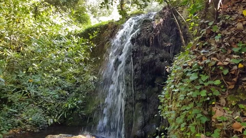 Waterfall in Aymerich Park Stock Footage 202073385
