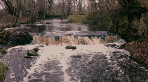 Waterfall background Stock Footage 49912582