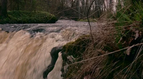 Waterfall background Stock Footage 49912583