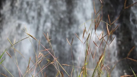 Waterfall Background Stock Footage 111885008