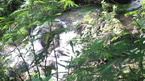Waterfall background in the middle of the forest in Indonesia Stock Footage 230962274