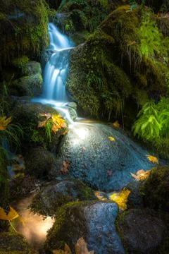Waterfall Background Oregon Fall Colors Stock Photos