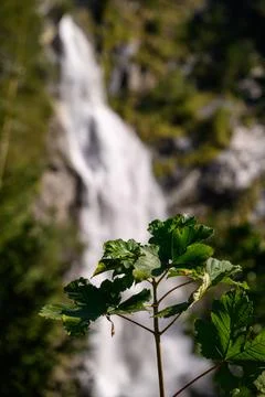 Waterfall in background Stock Photos