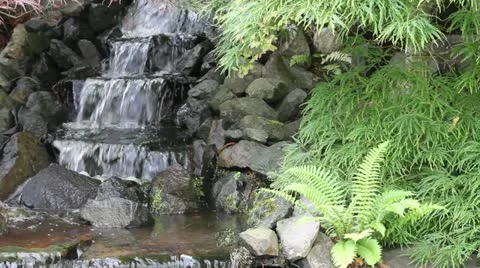 Waterfall in Backyard Zen Garden with Maple Trees and Ferns Stock Footage 11866085