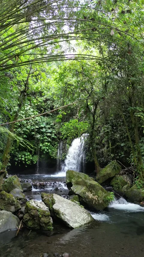Waterfall in bali Video stock 294549282