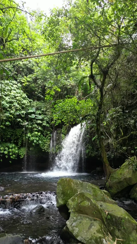 Waterfall in bali Video stock 294549561