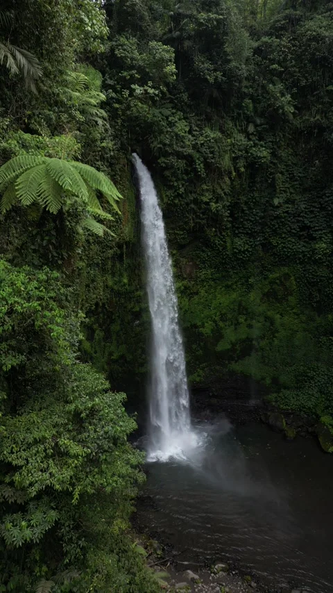 Waterfall in bali Video stock 294660894